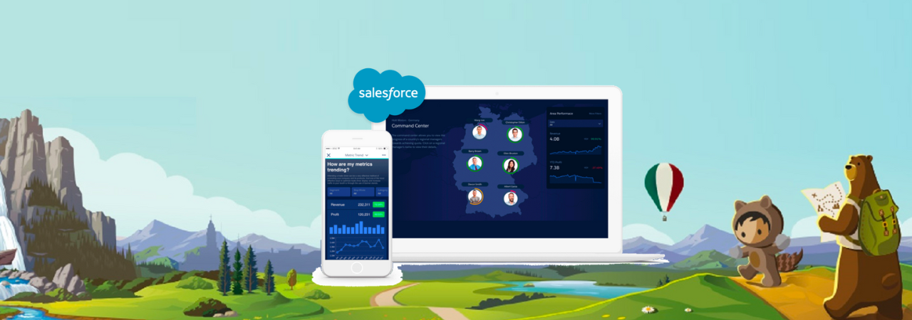 Accelerating your Sales Process with Salesforce
